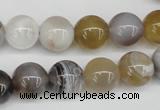 CAA226 15.5 inches 12mm round botswana agate gemstone beads