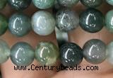 CAA2357 15.5 inches 6mm round moss agate beads wholesale