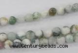 CAA700 15.5 inches 6mm round tree agate gemstone beads wholesale