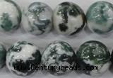 CAA705 15.5 inches 16mm round tree agate gemstone beads wholesale