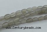 CAG3560 15.5 inches 4*6mm rice grey agate gemstone beads