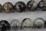 CAG3685 15.5 inches 14mm round botswana agate beads wholesale