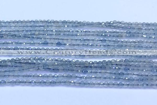 CAQ960 15 inches 2mm faceted round aquamarine beads