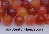 CBC414 15.5 inches 12mm AA grade round orange chalcedony beads