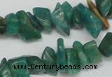 CCH231 34 inches 5*8mm Russian amazonite chips gemstone beads wholesale