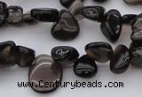 CCH623 15.5 inches 6*8mm - 10*14mm smoky quartz chips beads