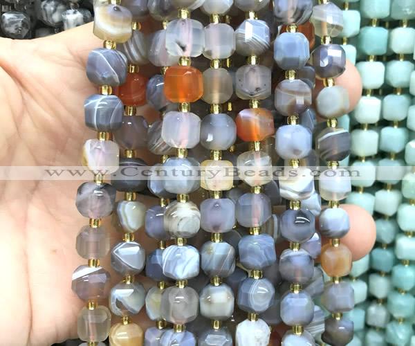 CCU1501 15 inches 8mm - 9mm faceted cube Botswana agate beads