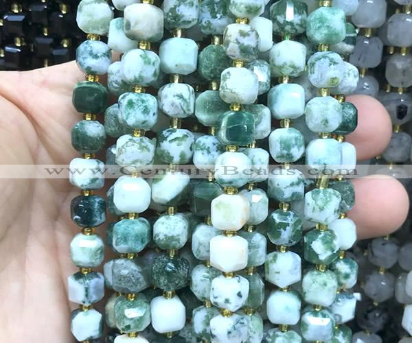 CCU1503 15 inches 8mm - 9mm faceted cube tree agate beads
