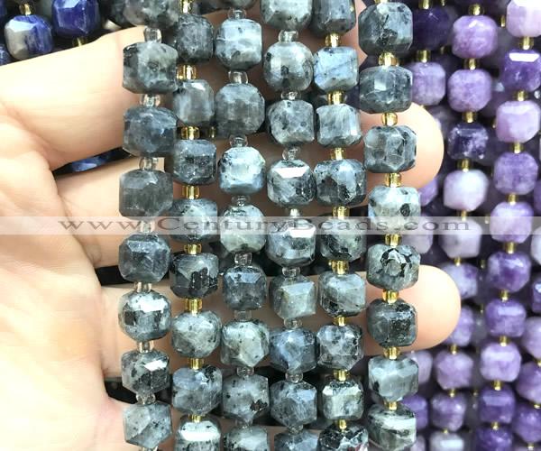 CCU1516 15 inches 8mm - 9mm faceted cube black labradorite beads