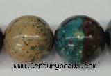 CDS29 15.5 inches 24mm round dyed serpentine jasper beads