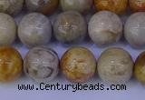 CFC203 15.5 inches 10mm round fossil coral beads wholesale