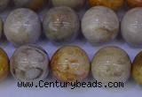 CFC204 15.5 inches 12mm round fossil coral beads wholesale