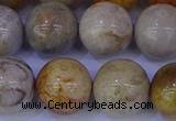 CFC205 15.5 inches 14mm round fossil coral beads wholesale