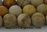 CFC224 15.5 inches 12mm round matte fossil coral beads wholesale