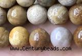 CFC321 15.5 inches 6mm round fossil coral beads wholesale