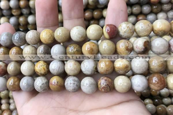 CFC324 15.5 inches 12mm round fossil coral beads wholesale