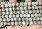 CFC330 15.5 inches 8mm round fossil coral beads wholesale