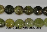 CGA212 15.5 inches 12mm flat round natural green garnet beads