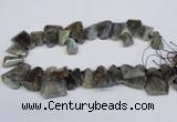 CLB222 Top drilled 15*25mm - 25*30mm freeform labradorite beads