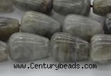 CLB724 15.5 inches 15*20mm teardrop labradorite gemstone beads