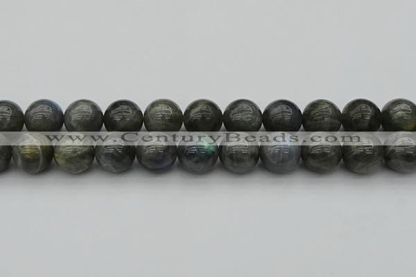 CLB953 15.5 inches 18mm round labradorite gemstone beads