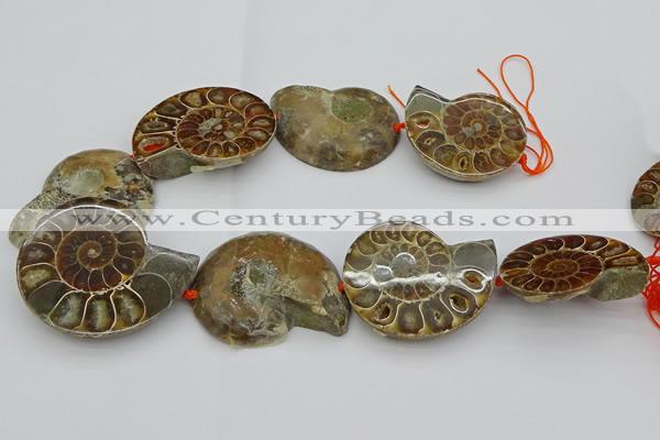 CMM03 15.5 inches 35*45mm - 45*55mm carved ammonite gemstone beads