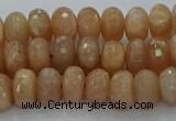 CMS1092 15.5 inches 6*10mm faceted rondelle moonstone beads