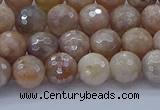 CMS1301 15.5 inches 6mm faceted round AB-color moonstone beads