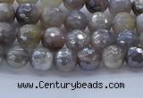 CMS1310 15.5 inches 4mm faceted round AB-color grey moonstone beads