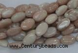 CMS14 15.5 inches 8*12mm oval moonstone gemstone beads wholesale