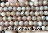CMS2356 15 inches 8mm round moonstone beads wholesale