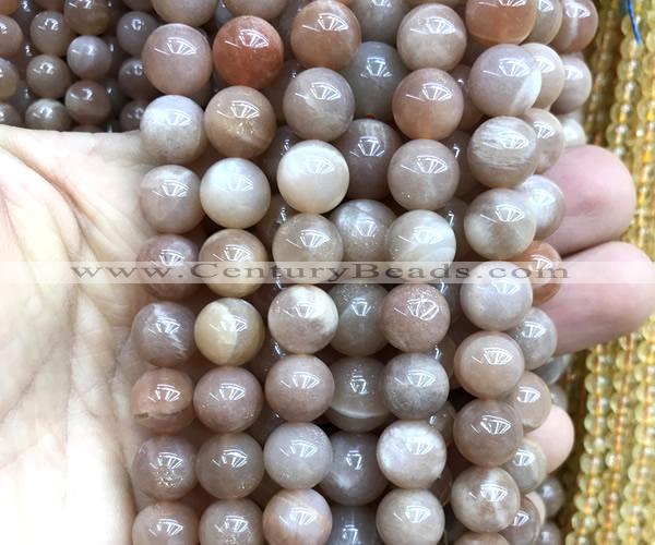 CMS2357 15 inches 10mm round moonstone beads wholesale