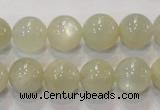 CMS314 15.5 inches 12mm round natural moonstone beads wholesale