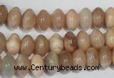 CMS519 15.5 inches 6*10mm rondelle moonstone beads wholesale