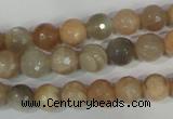 CMS571 15.5 inches 8mm faceted round moonstone beads wholesale