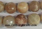 CMS575 15.5 inches 16mm faceted round moonstone beads wholesale