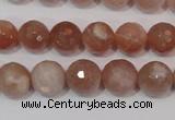 CMS765 15.5 inches 10mm faceted round natural moonstone beads