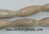 CMS95 15.5 inches 10*30mm faceted rice moonstone gemstone beads