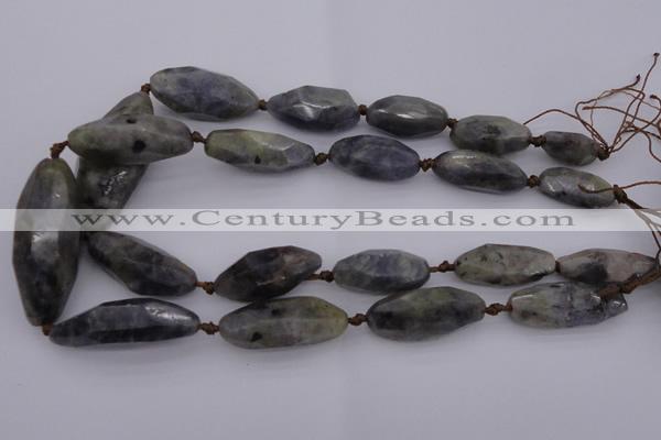 CNG1047 10*25mm - 20*48mm faceted nuggets iolite gemstone beads