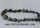 CNG2520 15.5 inches 10*14mm - 20*35mm nuggets labradorite beads