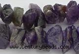 CNG5032 15.5 inches 8*25mm - 12*40mm nuggets amethyst beads