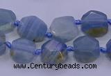 CNG5793 10*12mm - 10*14mm faceted freeform blue calcite beads