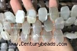 CNG7880 13*18mm - 15*25mm faceted freeform moonstone beads