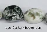 CNG83 15.5 inches 15*20mm - 20*35mm nuggets tree agate beads