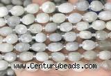 CNG8530 15.5 inches 8*9mm - 9*11mm faceted nuggets moonstone beads