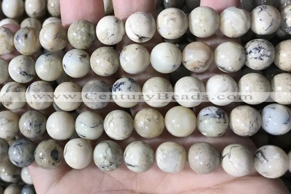 COP1664 15.5 inches 12mm round African opal beads wholesale