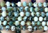 CRB6040 15 inches 6*8mm faceted rondelle tree agate beads
