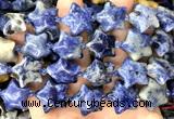 CRG101 15 inches 20mm star sodalite gemstone beads wholesale