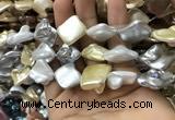 CSB2168 15.5 inches 16*16mm - 18*20mm baroque mixed shell pearl beads