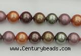 CSB312 15.5 inches 8mm round mixed color shell pearl beads